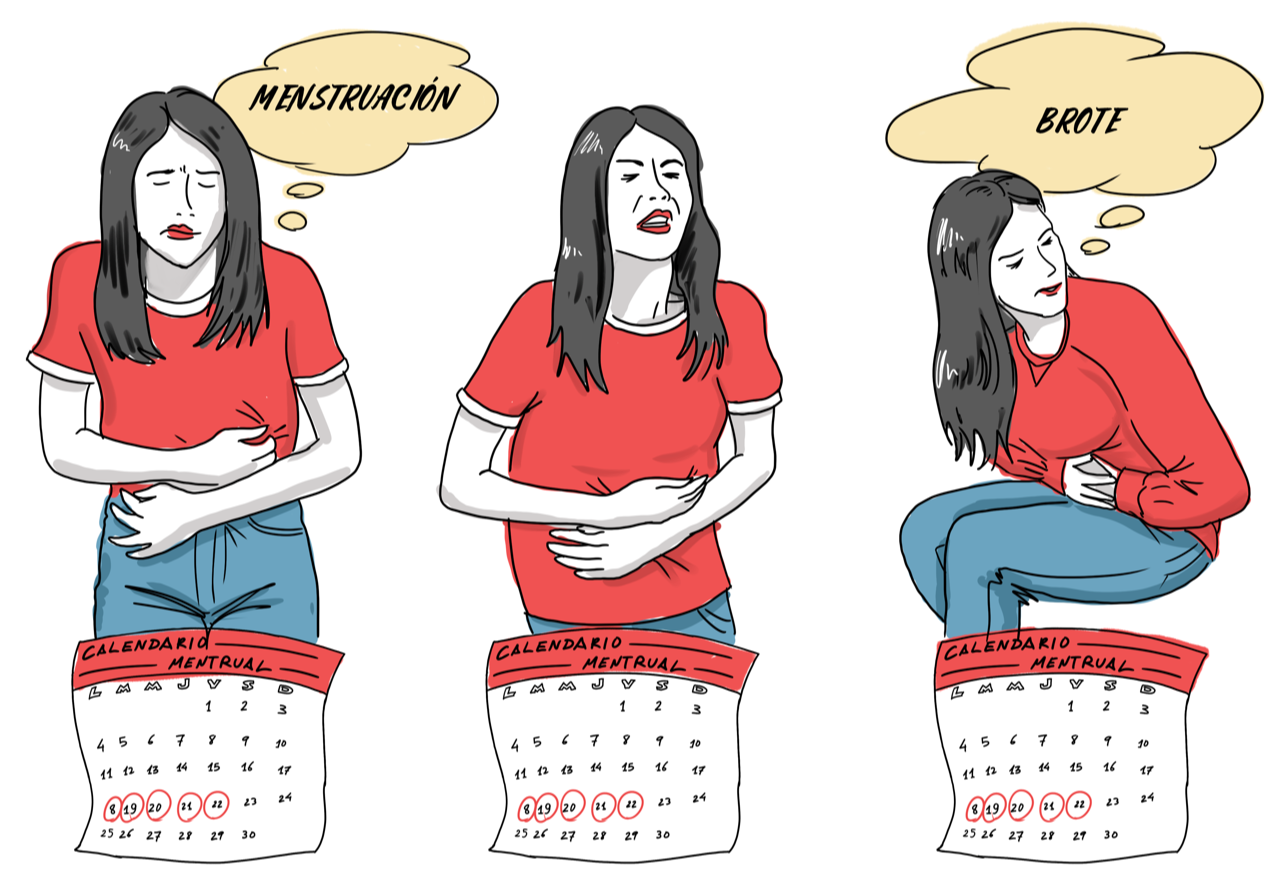 Cetosis y menstruación
